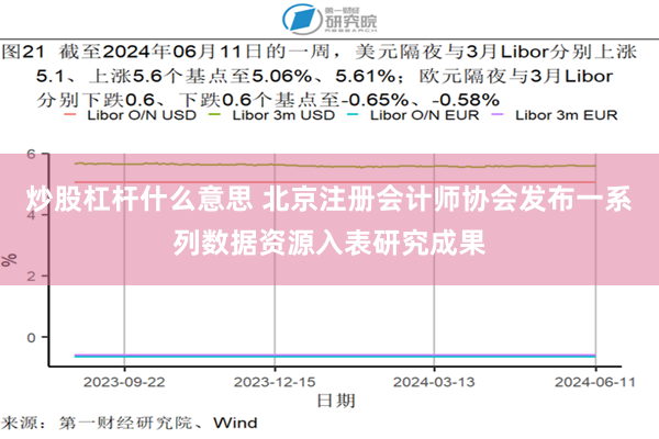 炒股杠杆什么意思 北京注册会计师协会发布一系列数据资源入表研究成果