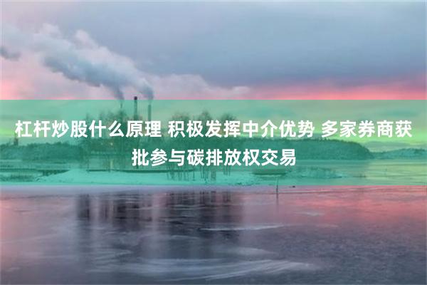 杠杆炒股什么原理 积极发挥中介优势 多家券商获批参与碳排放权交易