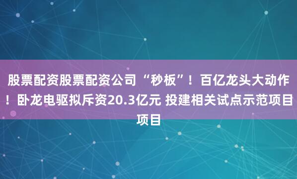 股票配资股票配资公司 “秒板”！百亿龙头大动作！卧龙电驱拟斥资20.3亿元 投建相关试点示范项目