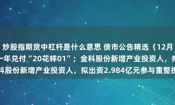 炒股指期货中杠杆是什么意思 债市公告精选（12月27日）| 花样年延期一年兑付“20花样01”；金科股份新增产业投资人，拟出资2.984亿元参与重整投资