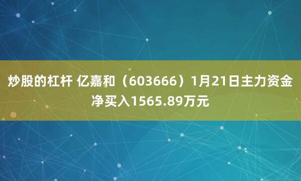 炒股的杠杆 亿嘉和（603666）1月21日主力资金净买入1565.89万元